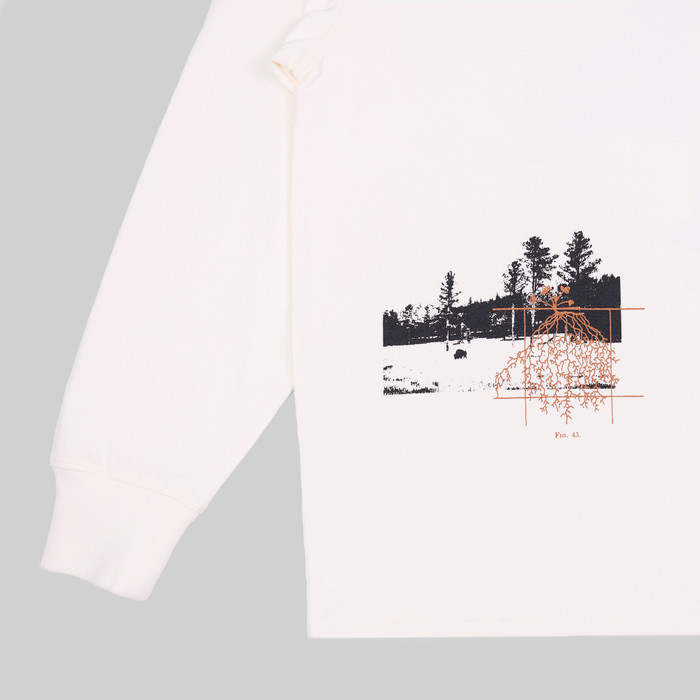 Лонгслив мужской Dickies Kenbridge Long Sleeve Tee артикул:DK0A4YVRC581 - купить в магазине Дайс