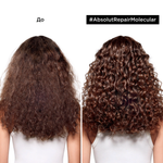 Шампунь L`oreal Professionnel Absolut Repair Molecular 500 мл.