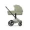 Детская коляска Cybex Priam V Style 2 в 1 Sage Green