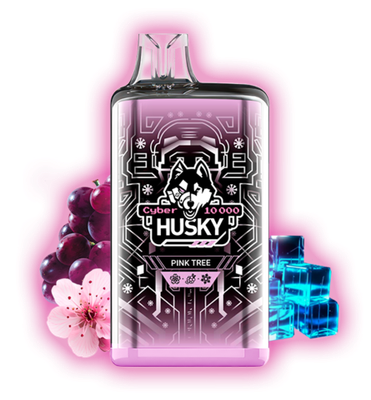 HUSKY CYBER 10000