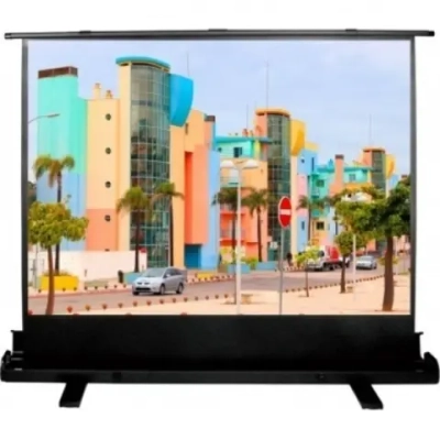 Экран напольный Cactus FloorExpert CS-PSFLE-160X120
