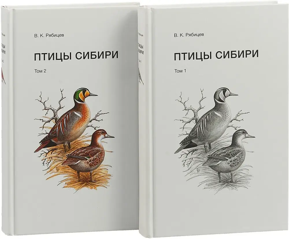 Птицы Сибири