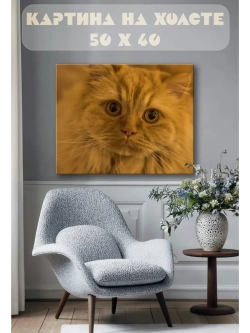 Картина на стену 40 X 50 Кошка