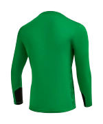 Свитер вратарский DIVISION PerFormDRY GK Splash, зеленый