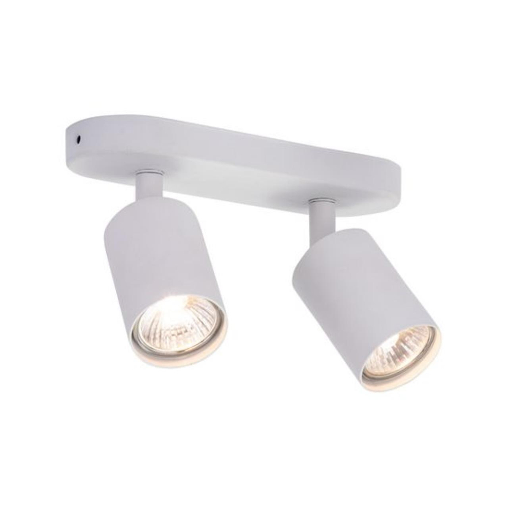 Настенно-потолочный светильник Arte Lamp AQUARIUS A3226PL-2WH