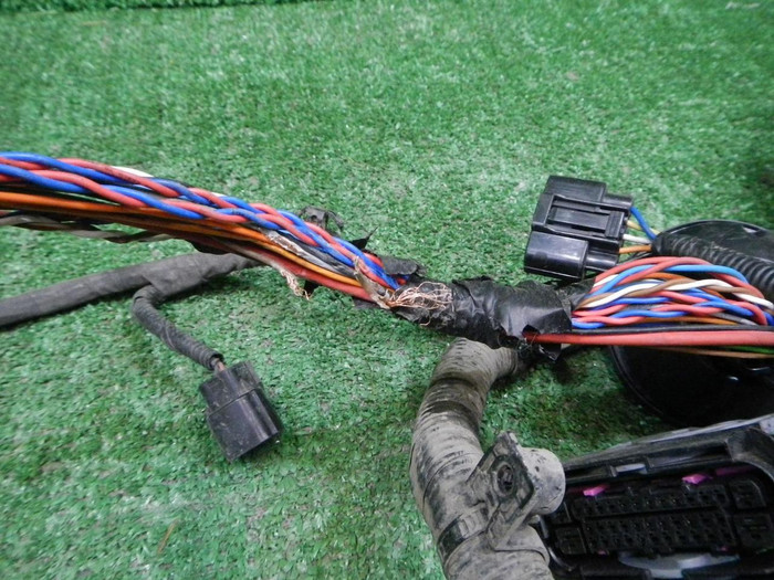 YSCN1227.JPG