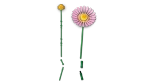 Конструктор LEGO Botanical Collection 10347 Миниатюрный Солнечный букет