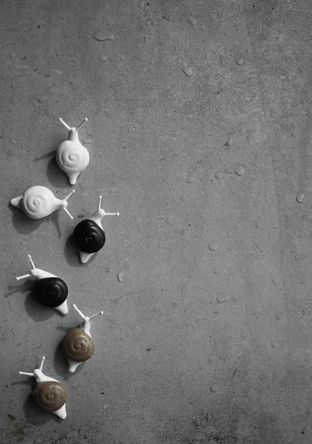 Магниты snail, 6 шт.