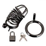 Черная металлическая клетка с замком Deluxe Chastity Cage (Цвет: черный)