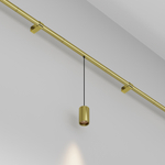 Светильник светодиодный для штанговой системы освещения Maytoni AXITY Focus LED C105PL-3W3-6K-BS