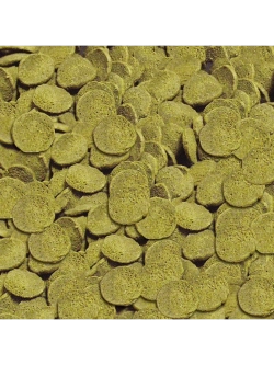 Wels Chips Корм для сомиков 100мл