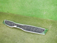 DSCN9131.jpg