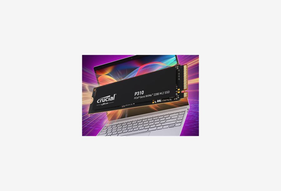 CT1000P310SSD8_0326930102800