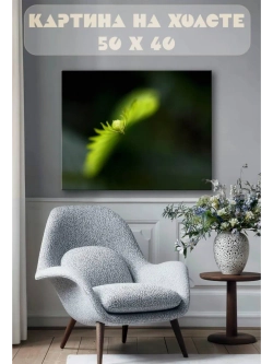 Картина на стену 40 X 50 Зелень