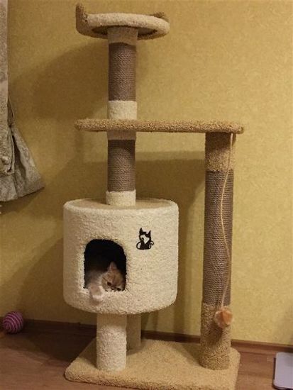 Домик для кота Д-2