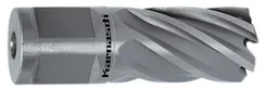 Корончатое сверло Karnasch 12х25 мм, SILVER-LINE, Weldon 19, арт. 20.1255-012