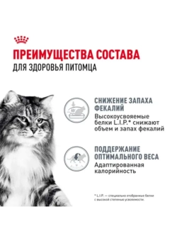 Digestive Care Корм для кошек в соусе 85г*28шт