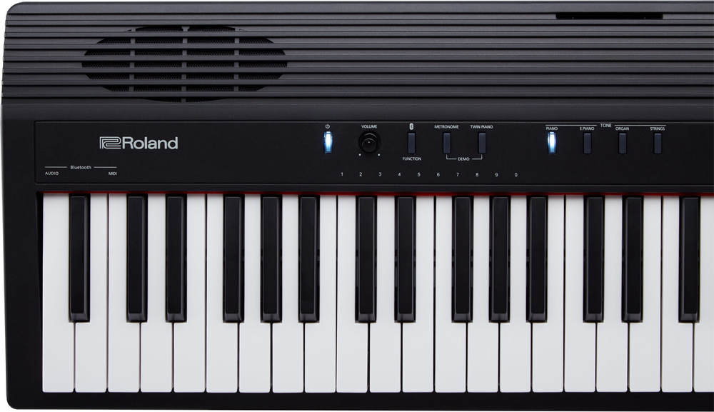 Roland GO-88P
