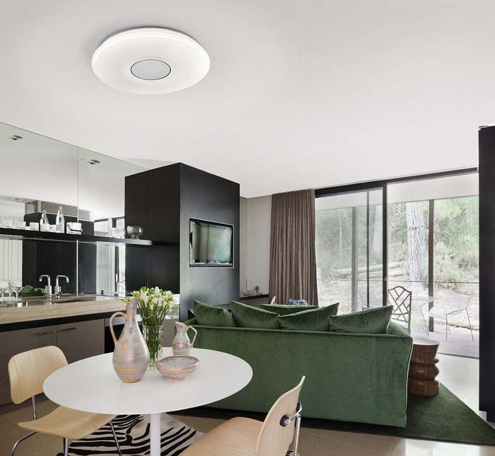 Накладной светильник Citilux Light & Music CL703M60