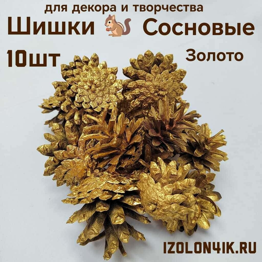 Шишки сосновые для поделок и декора 10 шт. (ЗОЛОТО)
