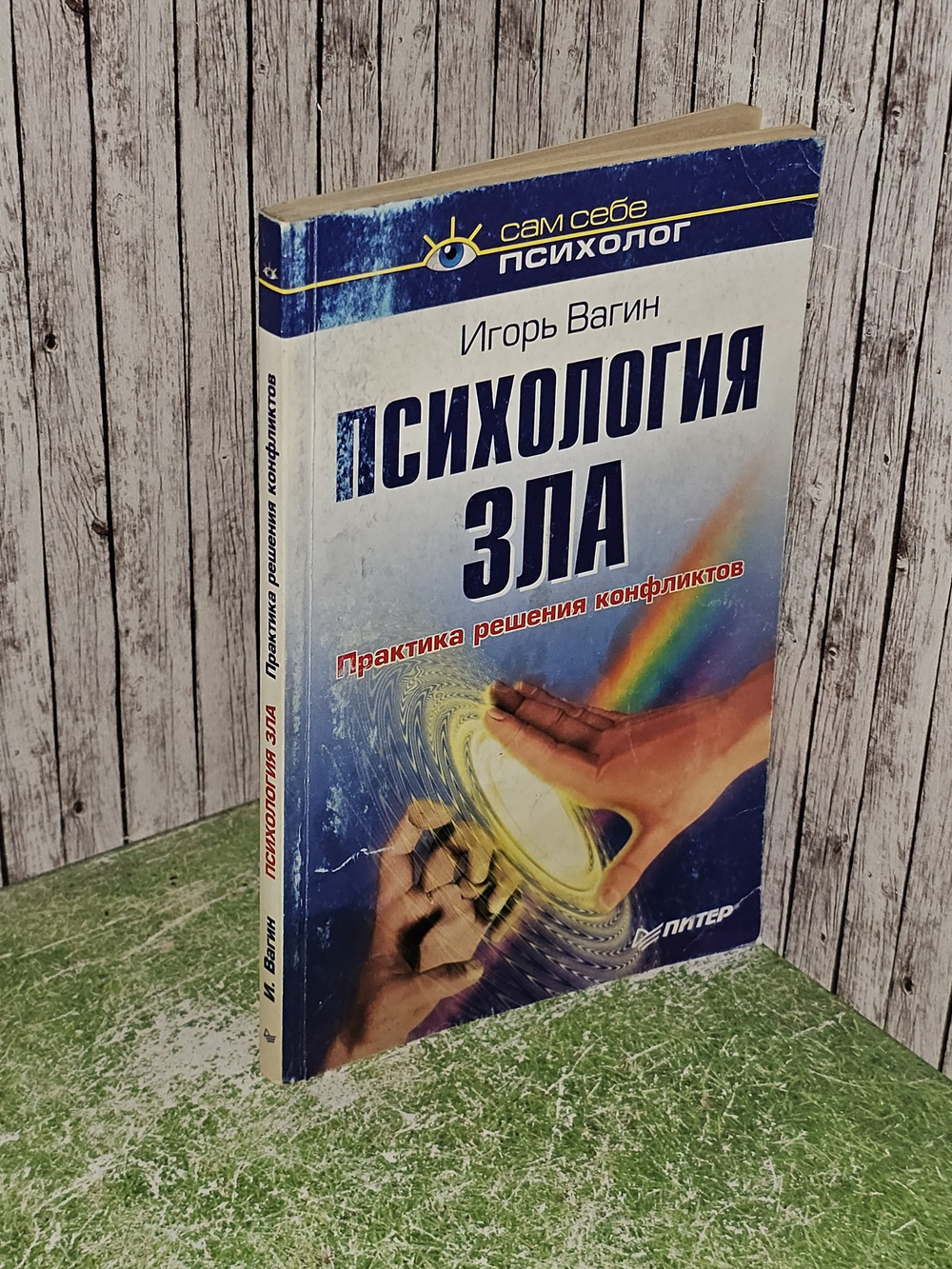 Психология зла. Практика решения конфликтов. Вагин Игорь Олегович