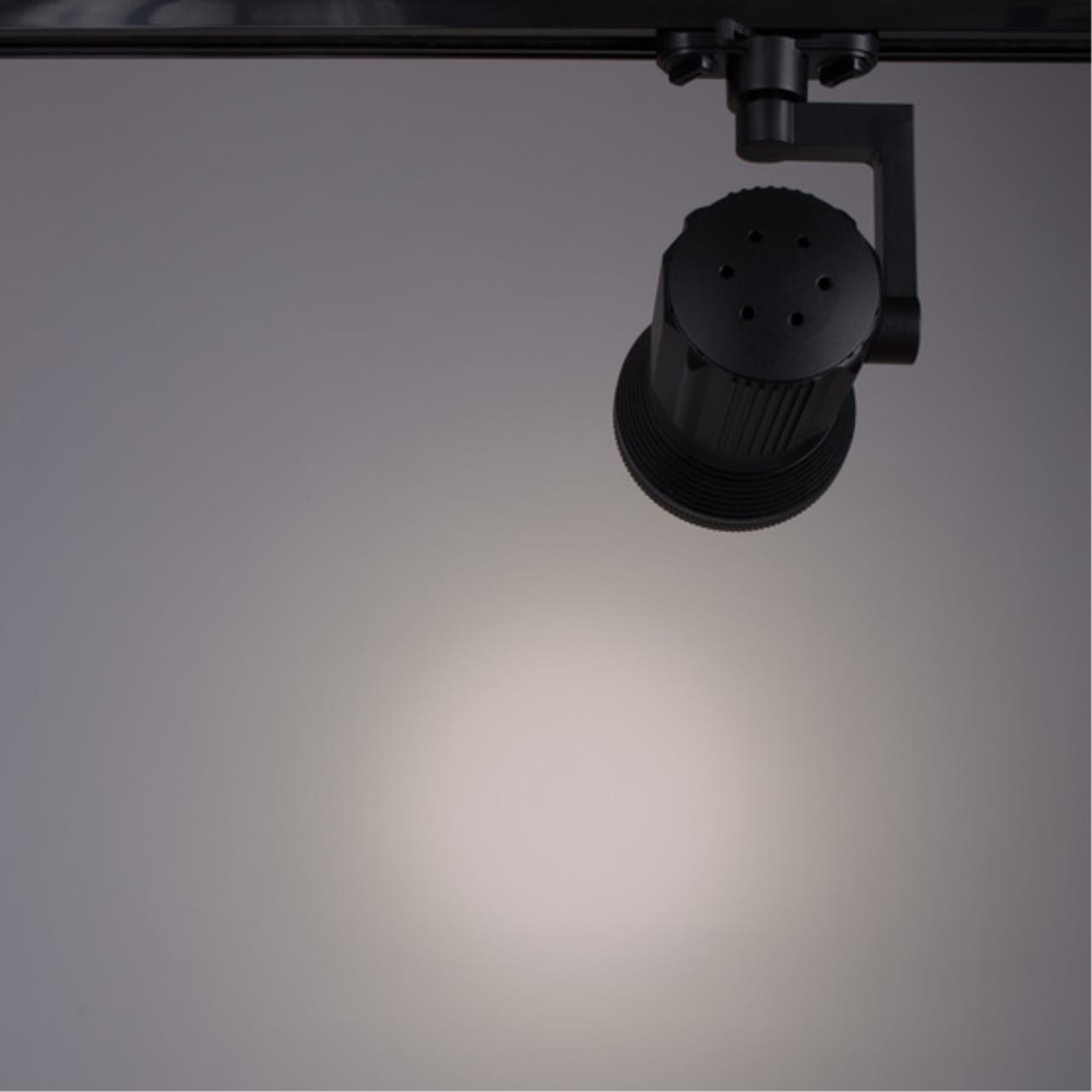 Светильник потолочный Arte Lamp Pianta A6118PL-1BK