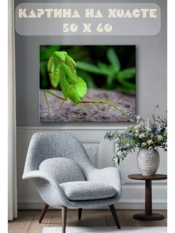 Картина на стену 40 X 50 Богомол