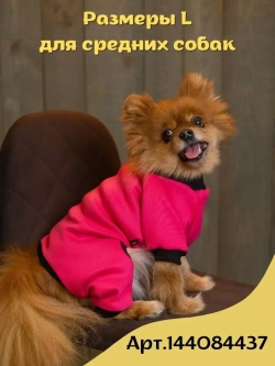 Комбинезон для собак кошек сфинкс кофта костюм для животных