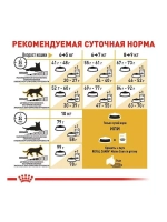 ROYAL CANIN MAINE COON Adult (Роял Канин Мейкун эдалт) корм сухой для кошек Maine Coon 10 кг.