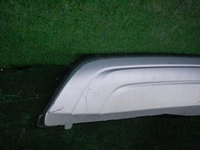 DSCN0919.JPG