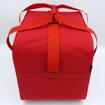 Сумка дорожная для ручной клади Pobedabags Стандарт плюс красная 36 x 30 x 27 см
