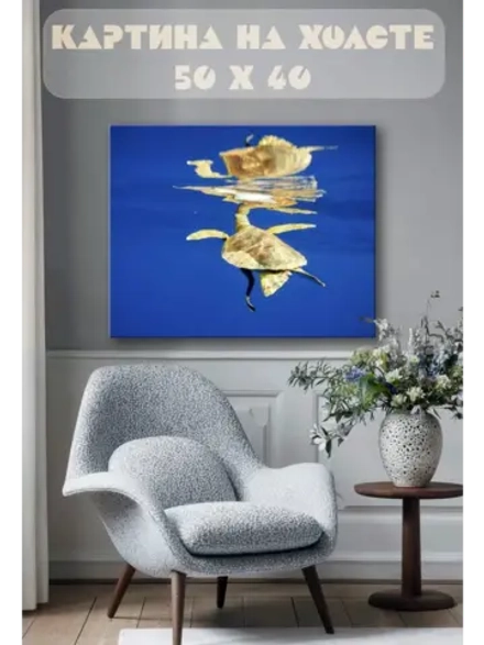 Картина на стену 40 X 50 Черепаха