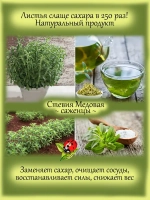 Стевия Медовая природный заменитель сахара