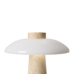 Настольная светодиодная лампа Freya SUNSPOT FR5482TL-L7BG