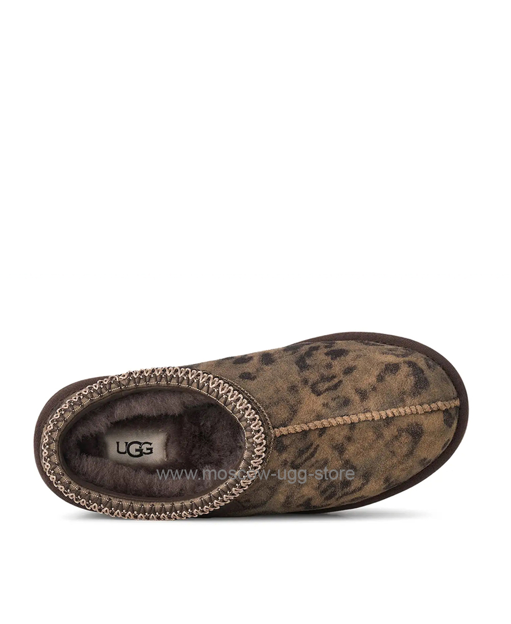 TASMAN SLIPPER SPOTTED