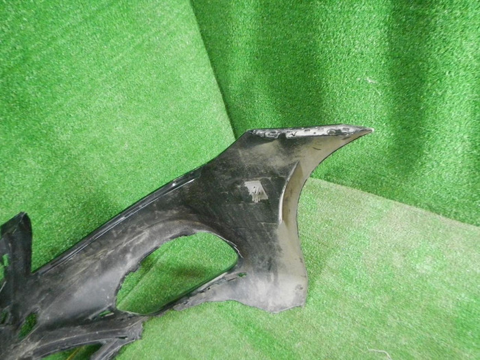 DSCN4743.JPG