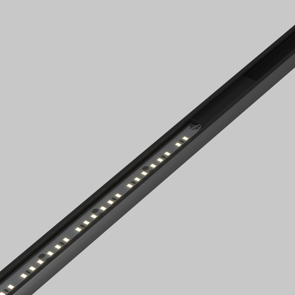 Магнитный трековый светильник Maytoni Flex TR160-1-100W3K-10B