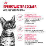 Royal Canin Kitten Sterilised Киттен Стерилайзд Корм сухой для стерилизованных котят с момента операции до 12 месяцев 400г