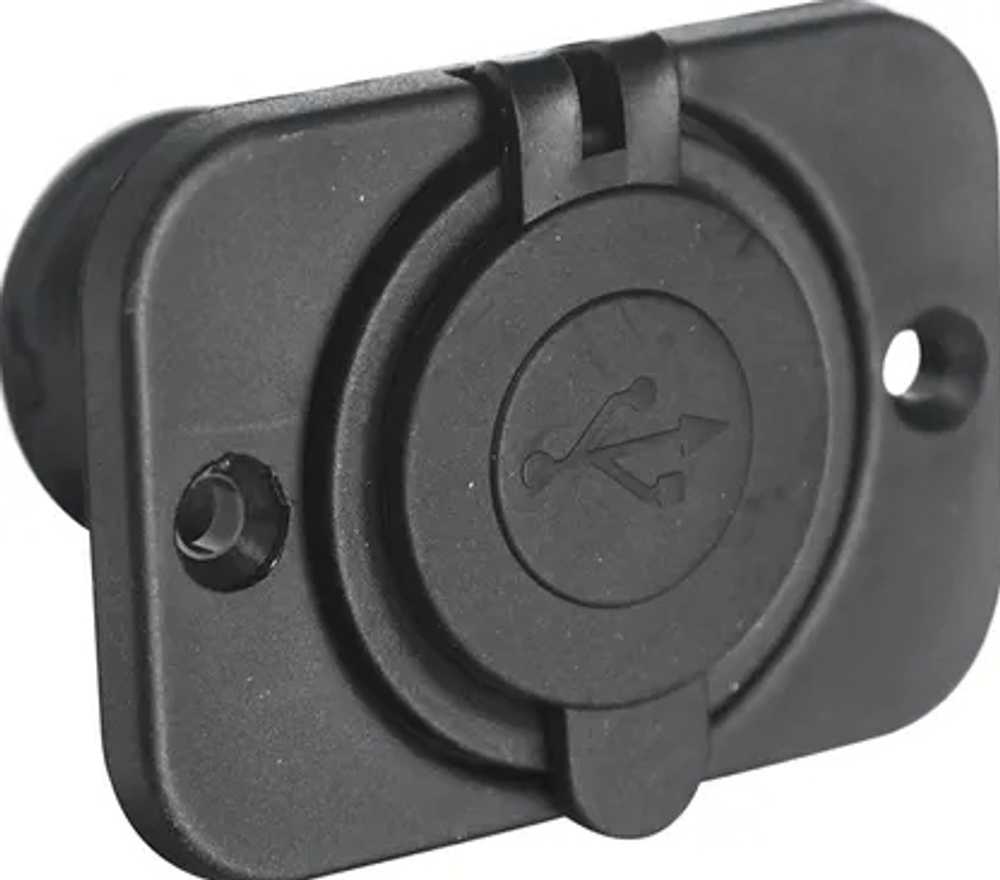 Розетка USB 3,1А РИФ c монтажной панелью (RIF22-4-1008800)