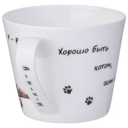 КРУЖКА LEFARD "БЕРИ КОТА" 450 МЛ, РАЗНОЦВЕТНЫЙ (КОР=48ШТ.)