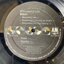 Винтажная виниловая пластинка LP Black Wonderful Life (Канада 1987) Sweetest Smile