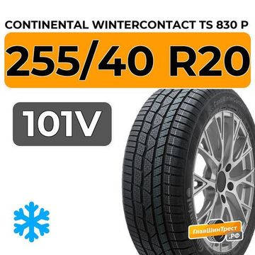 Continental WinterContact TS 830 P 255/40 R20 101V XL