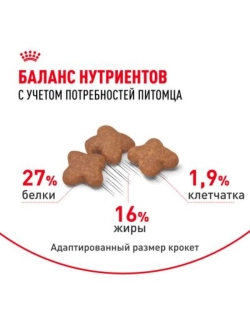MINI Adult Корм для собак мелких пород 4кг