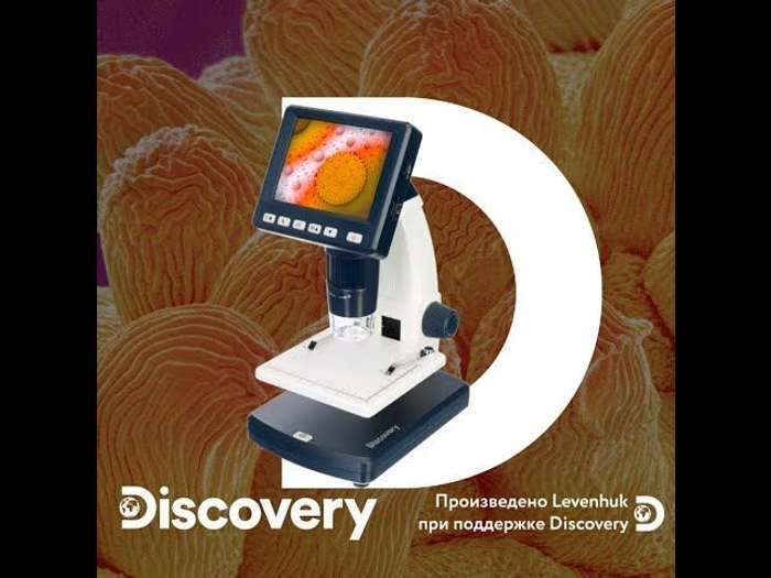 Микроскоп цифровой Levenhuk Discovery Artisan 128