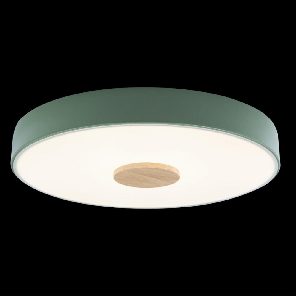 Потолочный светодиодный светильник Loft It Axel 10003/24 Green