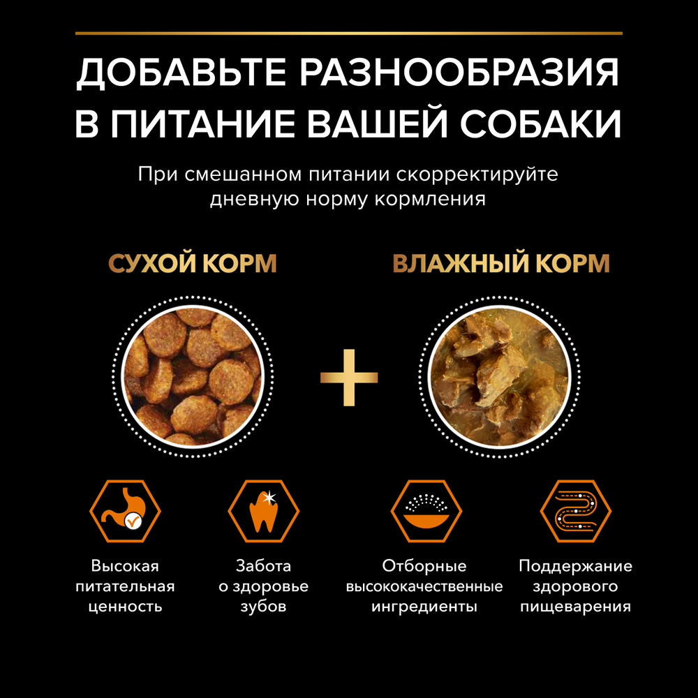 Сухой корм PRO PLAN EVERYDAY NUTRITION для взрослых собак мелких и карликовых пород курица 700 г