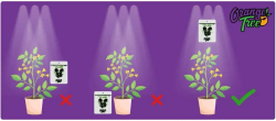 Генератор углекислого газа для растений Пакет CO2 Bag 100 г. Orange Tree