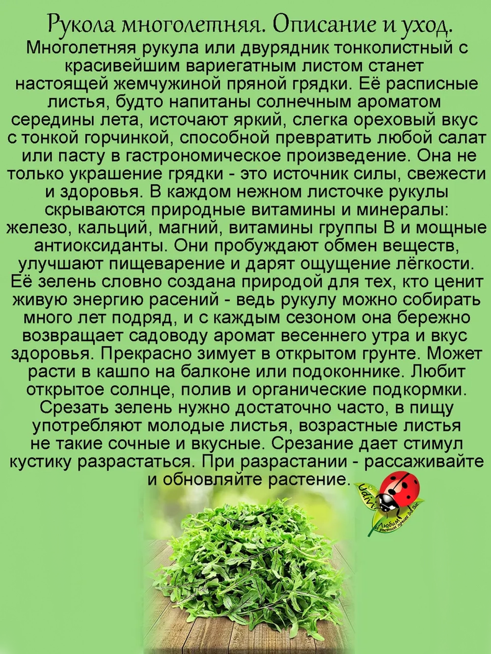 Рукола Вариегатная многолетняя