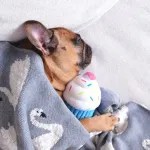 Игрушка NomNomz Капкейк ZippyPaws