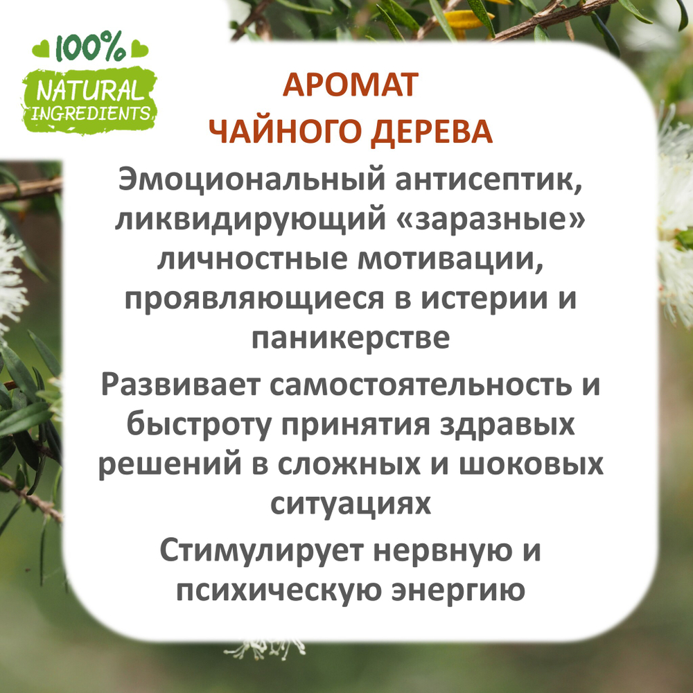 Чайное дерево, отдушка для свечей и мыла